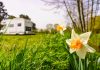 Best Mobile Home Landscaping Ideas Best Mobile Home Landscaping Ideas