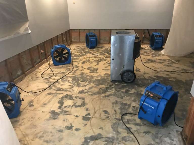 Water Damage Restoration: Why It’s Essential For Every Homeowner