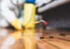 Effective Pest Control Strategies In Orange County Pest Control Strategies In Orange County